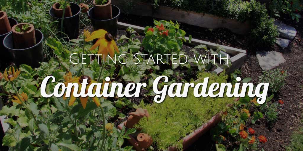 Getting Started with Container Gardening