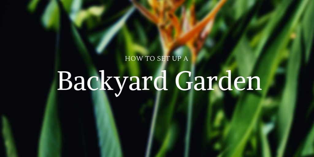 How To Set Up A Backyard Garden