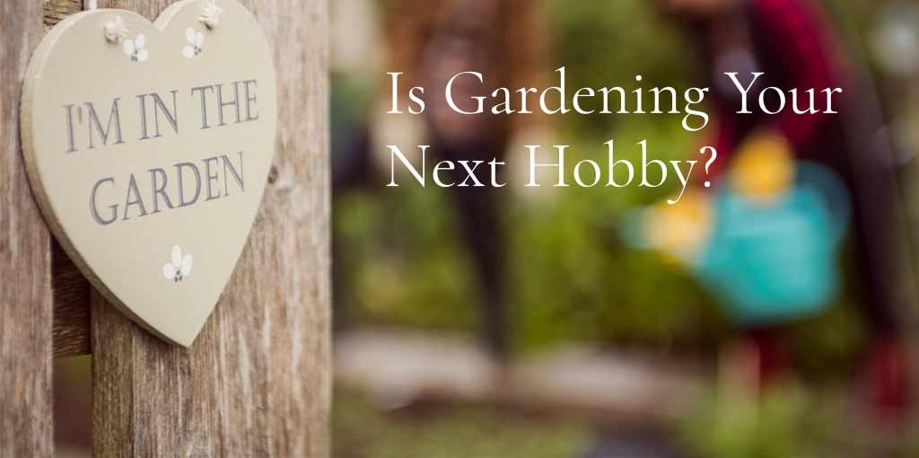 Is Gardening Your Next Hobby?