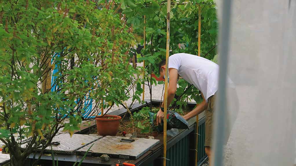 Container garden setup on urban balcony with herbs and vegetables