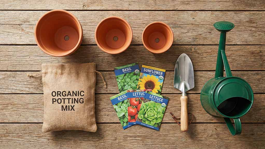 Beginner gardener starter kit and checklist