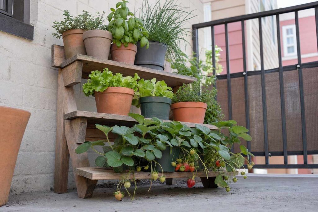 A tiered plant stand full of potted herbs and greens on a small balcony, low angle