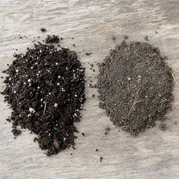 Two piles side by side on a board, fresh loose potting mix next to dense used mix