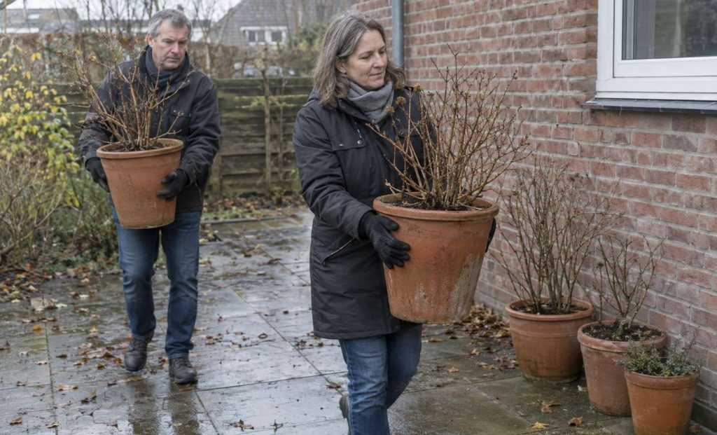 Two people in winter coats carrying heavy pots across a patio towards the house wall